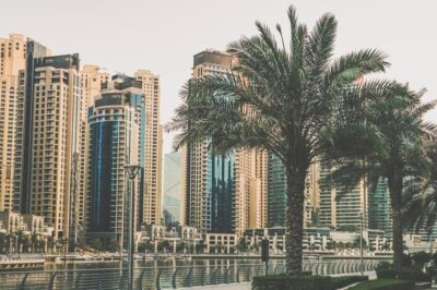 Buildings and palm trees
