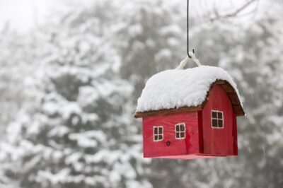 Mini model house covered in snow